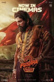 Pushpa 2 – The Rule – Reloaded (2024) Official EXTENDED [Extra 30 Mins] Dual Audio [Hindi ORG & Telugu] ORG NETFLIX WEB-DL 480p, 720p & 1080p | GDRive [Official] 2 – The Rule