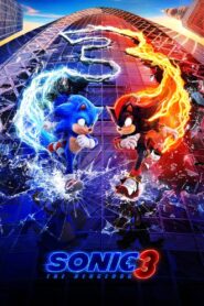 Sonic The Hedgehog 3 (2024) Dual Audio [Hindi ORG & ENG] ORG WEB-DL 480p & 720p | GDRive