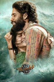 Thandel (2025) Dual Audio [Hindi ORG & Tamil] WEB-DL 480p, 720p & 1080p | GDRive | ESub