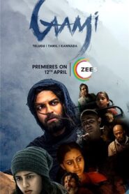 Gaami (2024) Dual Audio [Hindi ORG & Telugu] WEB-DL 480p, 720p | GDRive