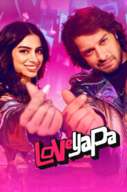 Loveyapa (2025) Hindi WEB-DL 480p, 720p | GDRive