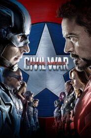 Captain America: Civil War (2016) Dual Audio BluRay 480p, 720p [Hindi-English] | GDrive