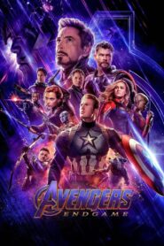 Avengers: Endgame (2019) Dual Audio [Hindi-ENG] HEVC BluRay 480p, 720p & | GDRive