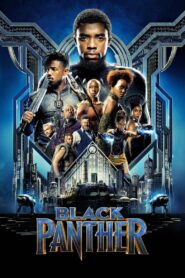 Black Panther: Wakanda Forever (2022) iMAX Dual Audio [Hindi ORG & ENG] BluRay 480p, 720p | GDRive