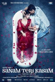 Sanam Teri Kasam (2016) Hindi BluRay 480p, 720p | GDrive