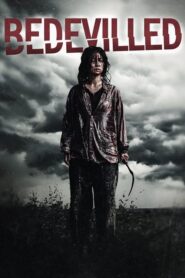 Bedevilled (2010) Dual Audio [Hindi ORG & Korean] BluRay 480p, 720p & 1080p | GDrive