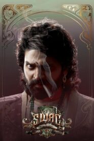 Swag (2024) Dual Audio [Hindi ORG & Telugu] WEB-DL 480p, 720p & 1080p | GDRive