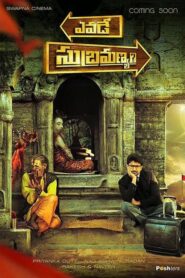 Yevade Subramanyam (Yeh Hai Zindagi) (2015) Dual Audio [Hindi ORG & Telugu] WEB-DL 480p, 720p & 1080p | GDRive