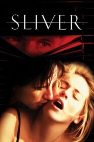 Sliver (1993) Dual Audio [Hindi ORG & ENG] WEB-DL 480p, 720p & 1080p | GDRive