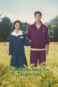 When Life Gives You Tangerines : Season 1 [VOL 1-3] Dual Audio [Hindi ORG & Korean] WEB-DL 720p HEVC | [Complete]