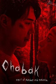 Chabak – Night of Murder and Romance (2023) Dual Audio [Hindi ORG & Korean] WEB-DL 480p, 720p & 1080p | GDRive