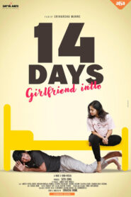 14 Days Girlfriend Intlo (2025) Dual Audio [Hindi ORG & Telugu] WEB-DL 480p, 720p & 1080p | GDRive