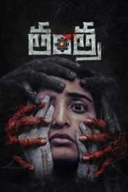 Tantra (2024) [Hindi ORG] WEB-DL 480p, 720p & 1080p | GDRive