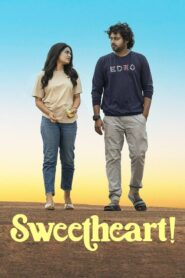 SweetHeart! (2025) Dual Audio [Hindi ORG & Tamil] WEB-DL 480p, 720p & 1080p | GDRive!