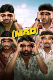 Mad Square (2025) Dual Audio [Hindi ORG & Telugu] WEB-DL 480p, 720p & 1080p | GDRive