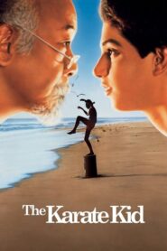 The Karate Kid (1984) Dual Audio [Hindi ORG & ENG] BluRay 720p & 1080p HEVC | GDRive
