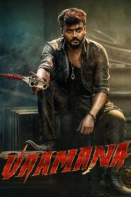 Vaamana (2025) Dual Audio [Hindi ORG & Kannada] WEB-DL 480p, 720p & 1080p | GDRive