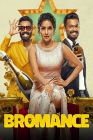 Bromance (2025) Dual Audio [Hindi ORG & Malayalam] WEB-DL 480p, 720p & 1080p | GDRive