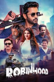 Robinhood (2025) Hindi WEB-DL 480p, 720p & 1080p | GDRive | ESub