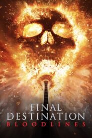 Final Destination: Bloodlines (2025) Dual Audio [Hindi ORG & ENG] WEB-DL 480p, 720p & 1080p | GDRive