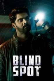 Blind Spot (2025) Dual Audio [Hindi ORG & Telugu] WEB-DL 480p, 720p & 1080p | GDRive